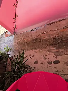 Fun Everywhere online show from 04-16-26, 06:30