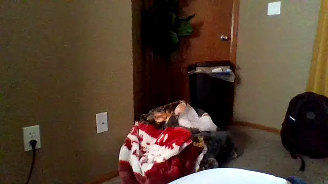 mikeystrong online show from 03-17-25, 08:19