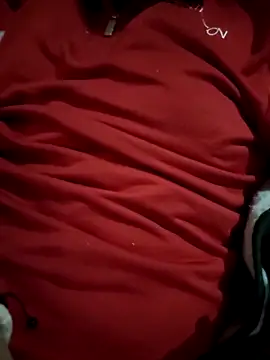 CuriousBear online show from 04-29-26, 08:37