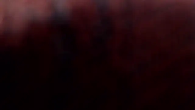 1BECHA1 online show from 03-05-26, 02:35