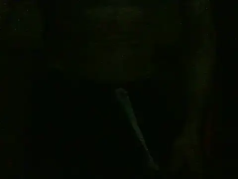 dangerman94 online show from 10-22-25, 02:34