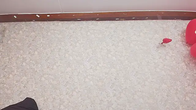 nicol f online show from 02-15-25, 07:17