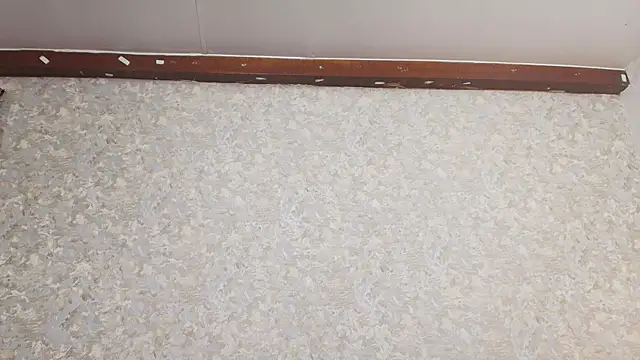 nicol f online show from 03-05-25, 01:31