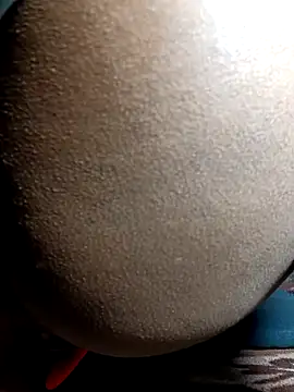 Fucker boy 1 online show from 12-24-24, 08:38