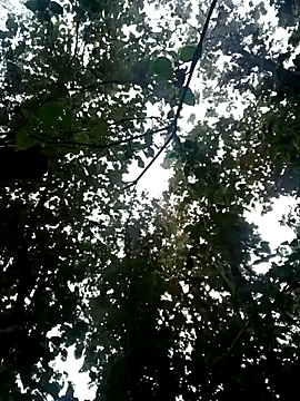 Fucker boy 1 online show from 01-19-25, 03:50