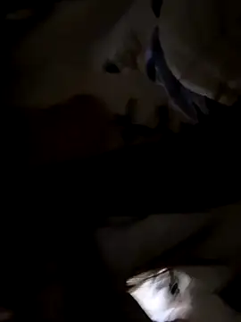 Sweet-Angel999 online show from 11-30-25, 05:28