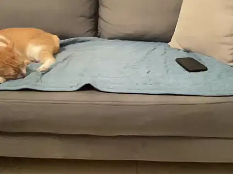 4small4inchlol online show from 11-14-25, 03:55