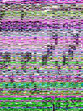Snapshot of SandraCarter chatting on 06-07-26, 07:12 SandraCarter online show from 06-07-26, 07:12
