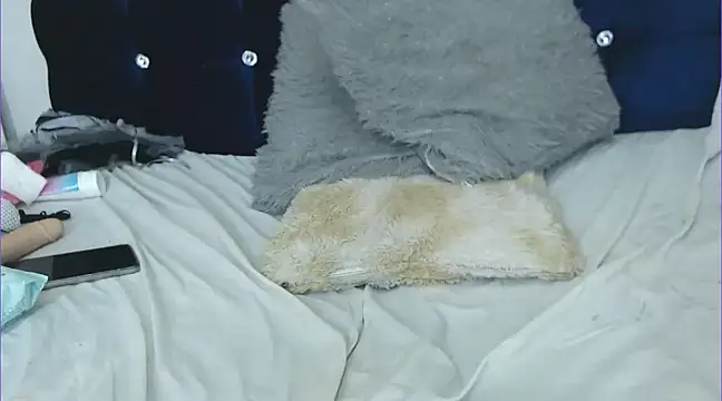 chicago 28 online show from 01-25-25, 11:02