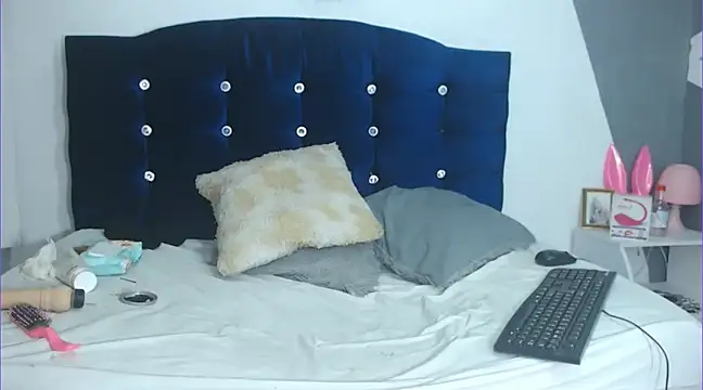 chicago 28 online show from 01-29-25, 08:51