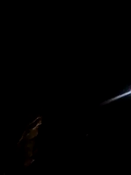 kindbut69 online show from 11-02-25, 05:43