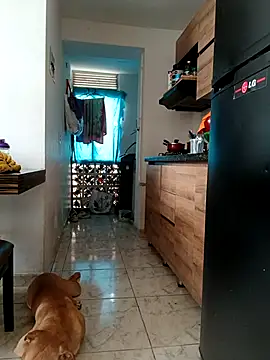 LEIRIS Y FRED 01 online show from 01-19-26, 02:43