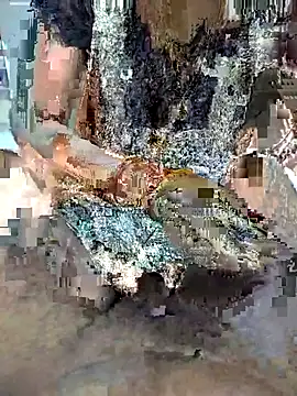 FeltedEuropium online show from 11-22-25, 09:19