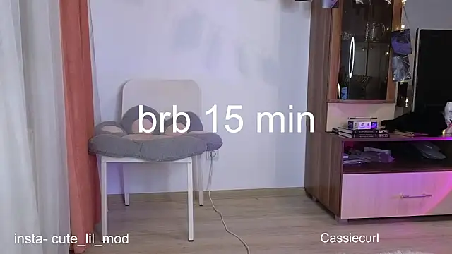 art phoenix online show from 03-07-25, 09:06