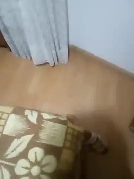 rush6983 online show from 11-06-25, 01:28