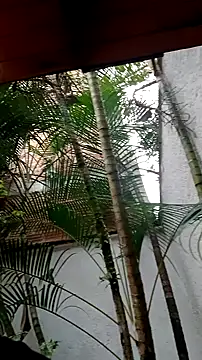 helen kinett online show from 12-27-24, 10:16