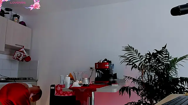 wendymoah online show from 12-08-24, 07:54