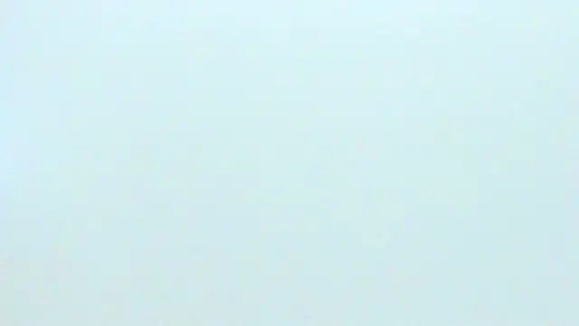 silvana  miller online show from 01-25-25, 01:10