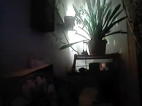 Snapshot of Bigpenis6y chatting on 12-30-24, 03:57 Bigpenis6y online show from 12-30-24, 03:57