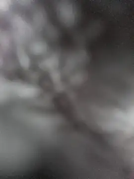 Snapshot of hungarian_dick chatting on 01-31-25, 09:37 hungarian dick online show from 01-31-25, 09:37