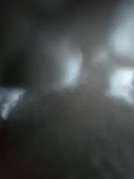 Snapshot of hungarian_dick chatting on 10-19-25, 10:38 hungarian dick online show from 10-19-25, 10:38