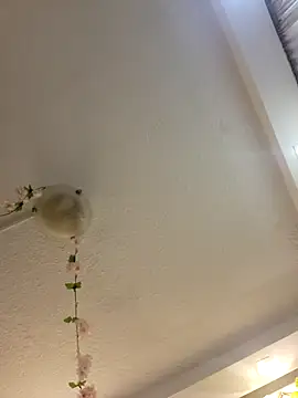 Lau1127 online show from 02-08-26, 11:08