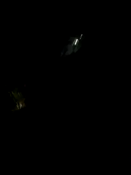 perlita05 online show from 11-16-25, 02:28