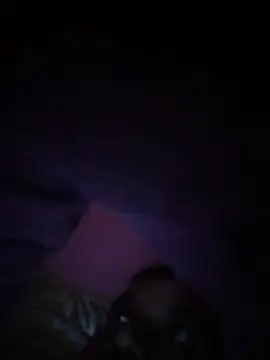 pusseylover1 online show from 12-04-25, 09:29