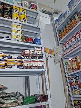 Katia sweetx online show from 04-13-26, 01:38