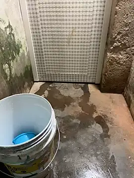 SnapIDRakesh4 online show from 03-20-25, 04:09