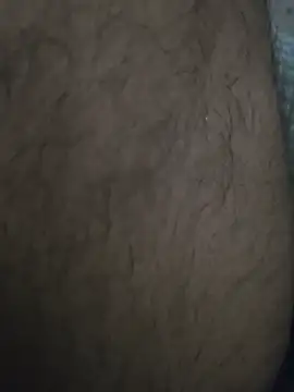 Keshuloveyou online show from 12-21-24, 09:01