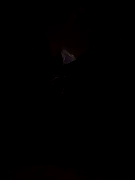 scientific4sex online show from 09-19-25, 05:46