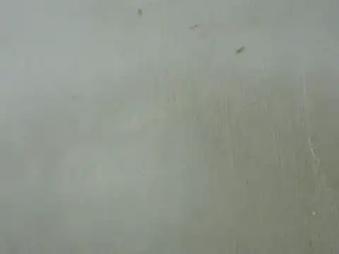 Snapshot of dickrus0077 chatting on 02-25-25, 05:25 dickrus0077 online show from 02-25-25, 05:25