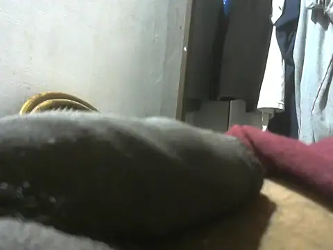 Snapshot of dickrus0077 chatting on 10-09-25, 02:20 dickrus0077 online show from 10-09-25, 02:20