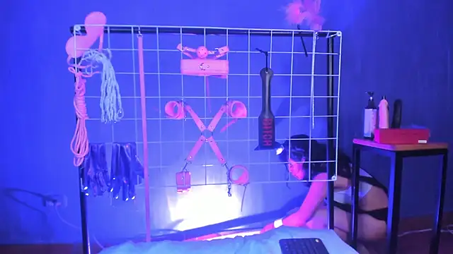 vanelope11 online show from 02-12-25, 07:35