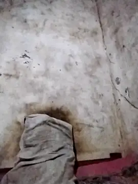 Leonelzain online show from 03-06-26, 05:53