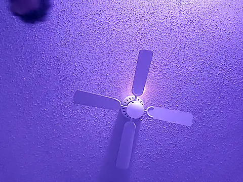 big8dall online show from 09-24-25, 06:50