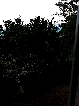 Snapshot of AuroraBon chatting on 12-10-24, 11:22 AuroraBon online show from 12-10-24, 11:22