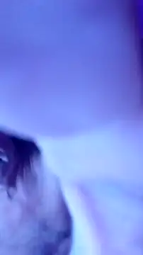 ronny51 online show from 12-22-24, 06:28