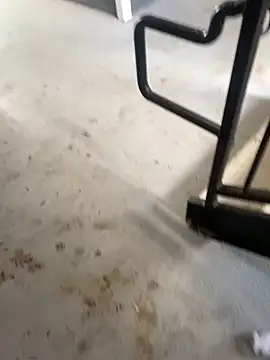 zeekBbc online show from 02-26-26, 09:25