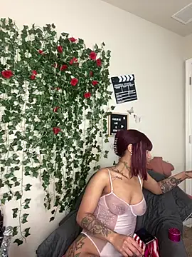 butterflybootyy online show from 02-12-25, 03:27