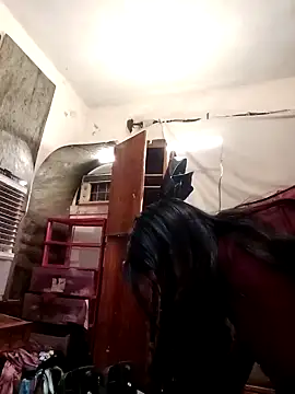 SINUECASTILLO online show from 12-12-24, 07:41