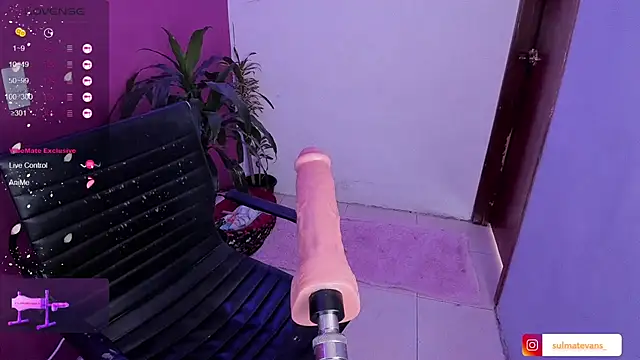  sulmatevans  online show from 01-19-25, 05:49