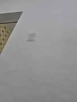 loiraodanadinha online show from 12-11-24, 05:04