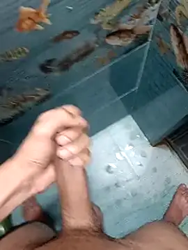 Mr joh online show from 02-12-26, 06:25