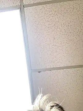 Tonybaloney1972 online show from 10-31-25, 08:54