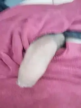 Snapshot of Maksim030 chatting on 12-10-24, 10:06 Maksim030 online show from 12-10-24, 10:06