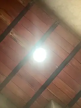 MollySanders    online show from 12-13-25, 10:59