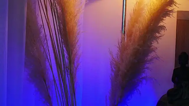 Snapshot of AliceShazaham_ chatting on 09-12-25, 07:08 AliceShazaham  online show from 09-12-25, 07:08