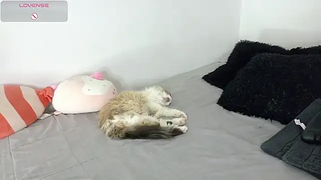 Snapshot of SophieBaker__ chatting on 05-02-26, 02:16 SophieBaker online show from 05-02-26, 02:16